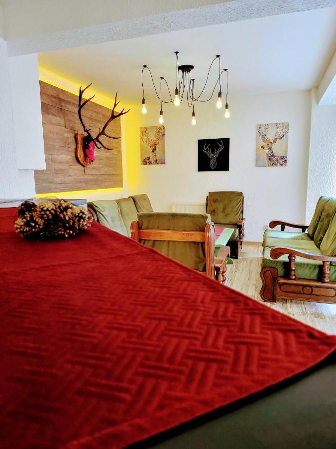 Tache Villa 1 Poiana Brașov Zewnętrze zdjęcie