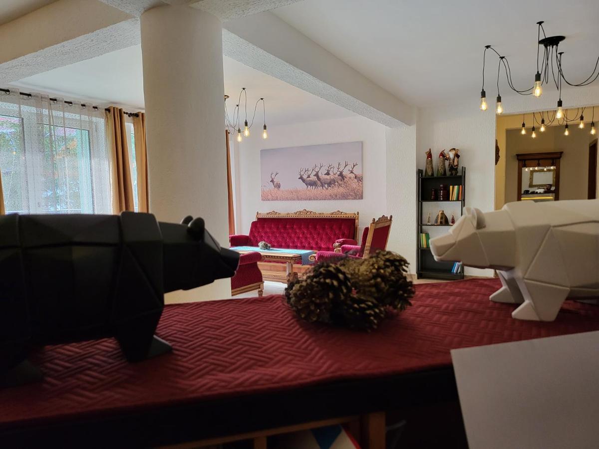 Tache Villa 1 Poiana Brașov Zewnętrze zdjęcie