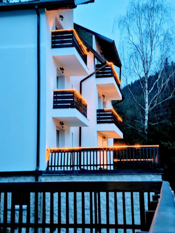 Tache Villa 1 Poiana Brașov Zewnętrze zdjęcie